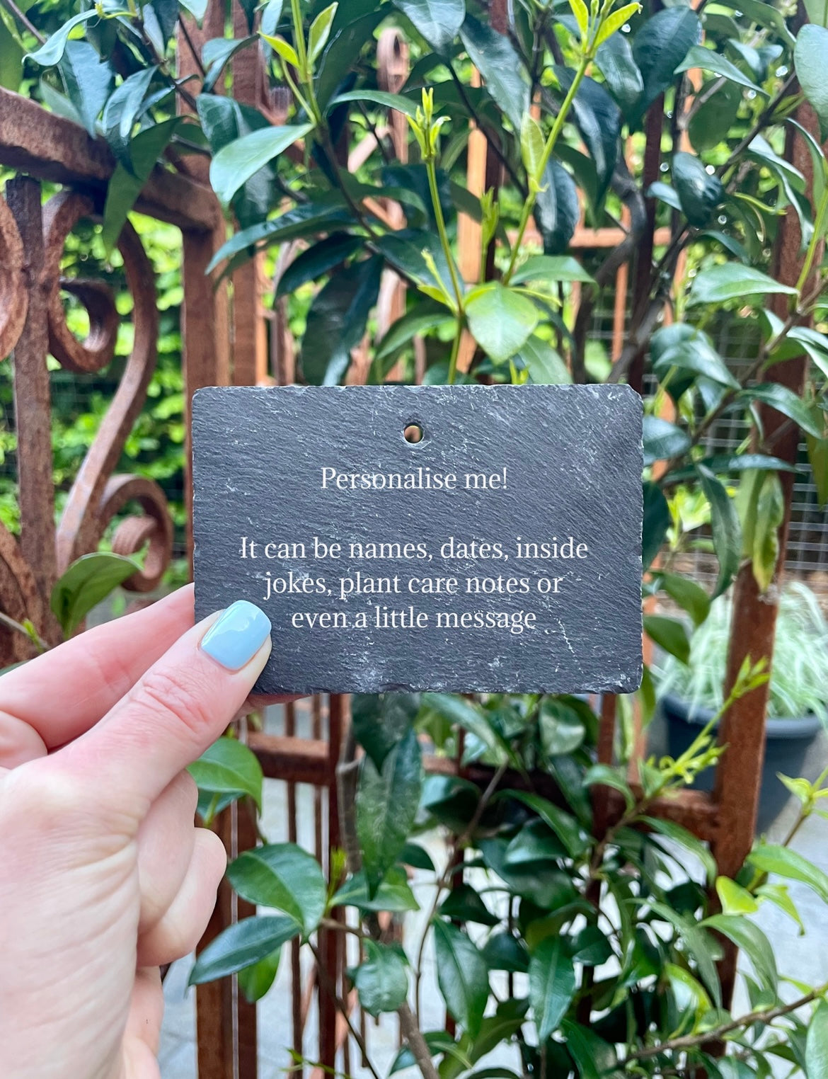 "Photosynthesis and Chill" Plant tag and stake