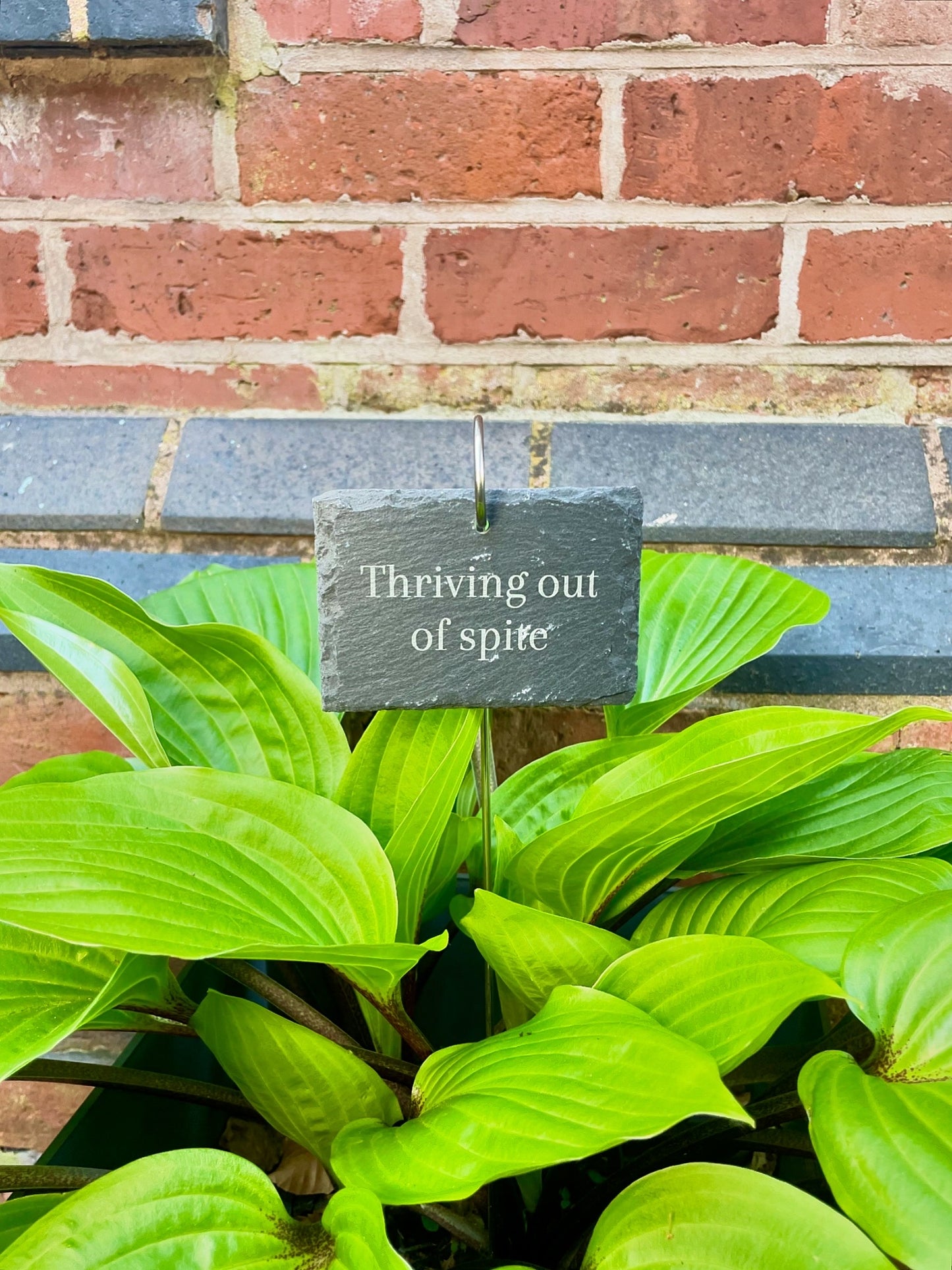 "Thriving out of spite" Plant tag and stake