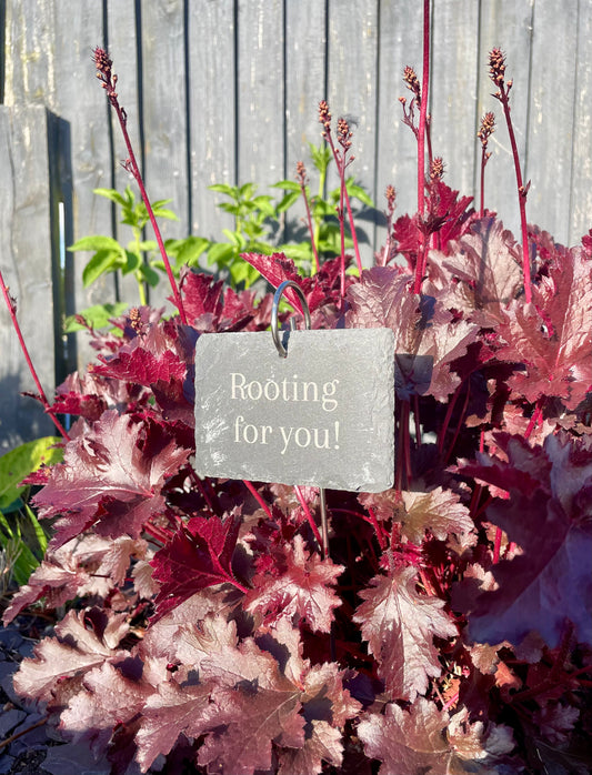 "Rooting for you!" Plant tag and stake