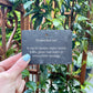 "Thriving out of spite" Plant tag and stake